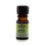 Volatile  Laurier 5ml 