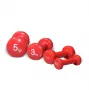 Matchu Sports  Dumbbells 2 kg 1 paar 