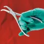 Splintertang volgens Witzel Splitterzange