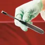 Rasp voor knaagdieren 18 cm