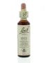 Bach Beech/beuk