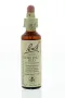 Bach Chestnut bud/kastanjeknop