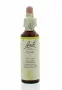 Bach Olive/olijf