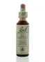 Bach Red chestnut/rode kastanje