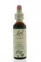 Bach Walnut/walnoot