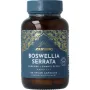 Ayurvediq boswellia serrata
