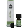 Chi Frangipani absolue