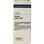 VSM Bryonia cretica LM1