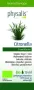 Physalis Citronella bio