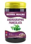 NHP Andrographis paniculata 500mg puur