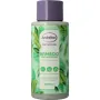 Andrelon Conditioner pro nature bamboo volume boost