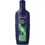 Andrelon Shampoo men iedere dag