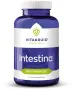 Vitakruid Intestina Darmformule oa L-Glutamine Probiotica