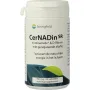 Springfield Cernadin SR nicotinamide & D-ribose 760mg