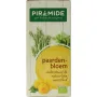 Piramide Paardenbloem thee bio