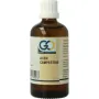 GO Acer campestris bio