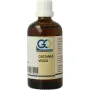 GO Castanea vesca bio