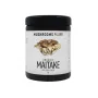 Mushrooms F Life Maitake padddenstoelen poeder bio