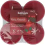 Bolsius Maxlicht merry moments cinnmon ginger
