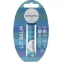 Ben & Anna Lipbalm pure