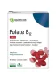 Quercus Folate B12