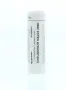 Homeoden Heel Chelidonium majus 200K