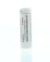 Homeoden Heel Rhus toxicodendron 6K