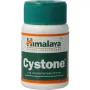 Holisan Cystone