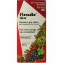 Salus Floradix ijzer elixer