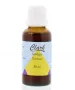 Clark Solidago guldenroede