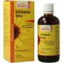 Bloem Echinacea