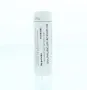 Homeoden Heel Sulphuricum acidum D6