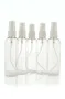 Ginkel's Sprayflacon 100ml