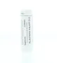 Homeoden Heel Plantago major D12