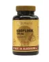 Artelle Knoflook 500mg + 250mg lecithine