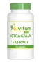 Elvitum Astragalus extract 500mg