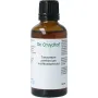 Cruydhof Tanacetum parthenium herb/moederkruid tinctuur
