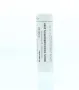 Homeoden Heel Rhus toxicodendron 200K