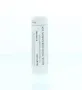 Homeoden Heel Rhus toxicodendron 30K