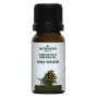 Jacob Hooy Parfum olie den pine wood