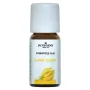 Jacob Hooy Ylang ylang olie