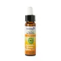 Ladrome Agrimony/agrimonie 1 bio