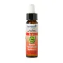 Ladrome Impatiens/reuzebalsemien 22 bio