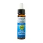 Ladrome Mimulus/maskerbloem 26 bio
