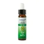 Ladrome Elm/iep 30 bio