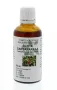 Cruydhof Smilax off rad / sarsaparilla tinctuur