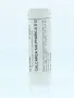 Homeoden Heel Calcarea sulphurica D12