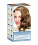 Tints Of Nature 6C Dark ash blond