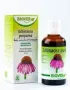 Biover Echinapurpurea tinctuur bio