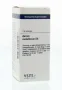 VSM Aurum metallicum D6